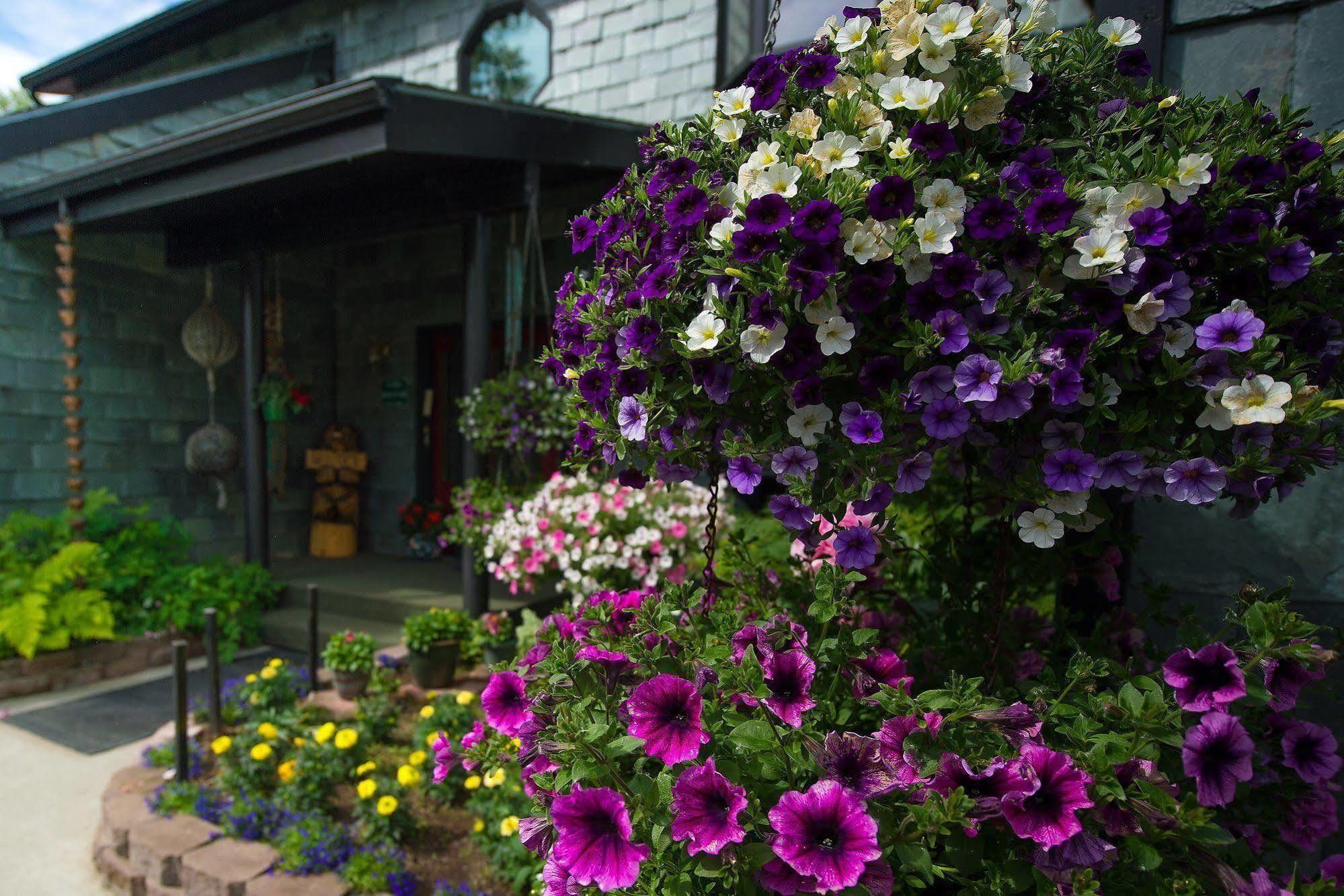 Alaska House Of Jade Bed And Breakfast Anchorage Exterior foto